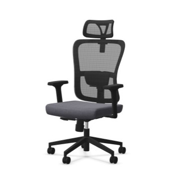 CityOffice_Biroja_Kresli_Trofi_Modeli