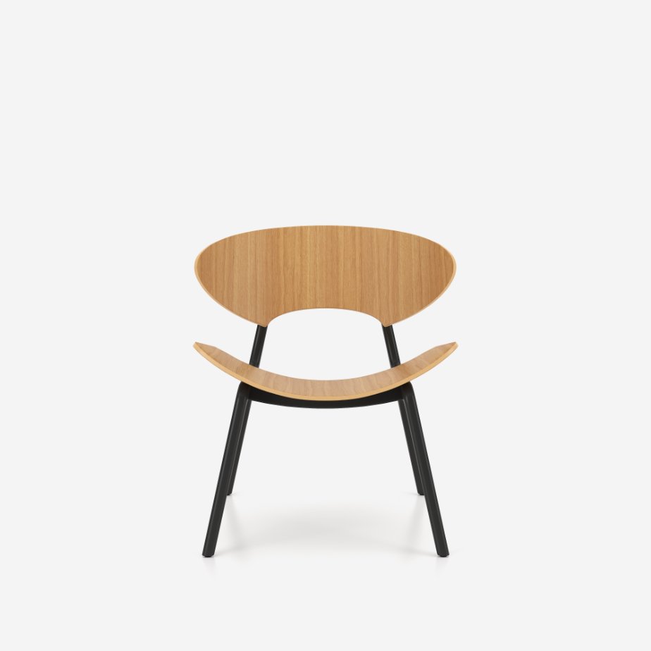 CityOffice_Lounge_Kresli_Kanu_Modeli